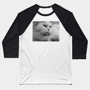 Cute fluffy cat - Black and white photograph Baseball T-Shirt